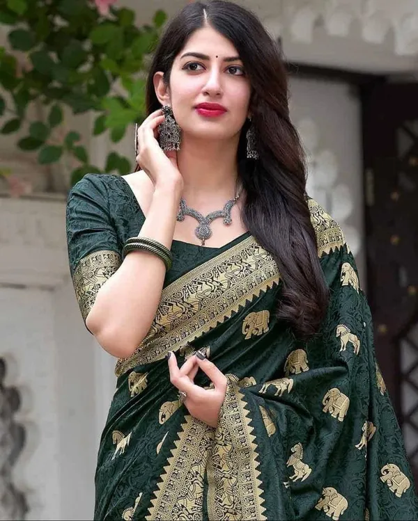 Green_Embellished_Banarasi_Jacquard_Saree_(Green)